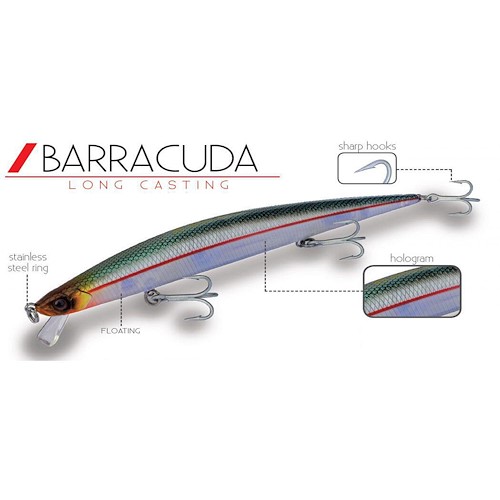 DTD Barracuda