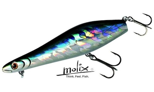 Molix Proteus Thumbnail Photo