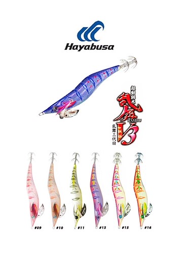 Hayabusa EX971 2.5