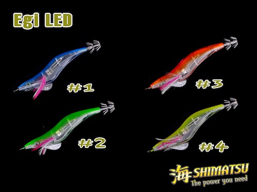 Shimatsu Egi LED